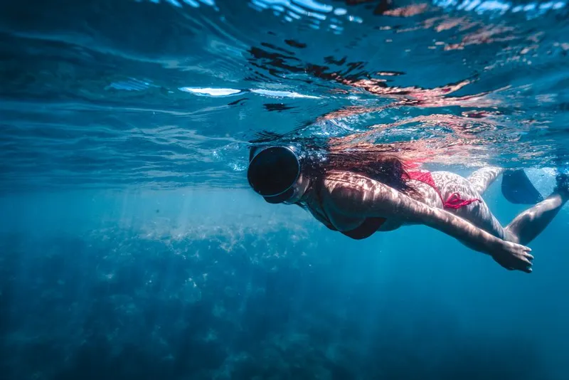 Buceo y Snorkel en Bahía Inglesa