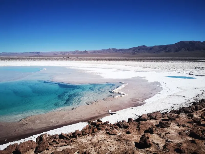 Laguna Cejar y Ojos del Salar
