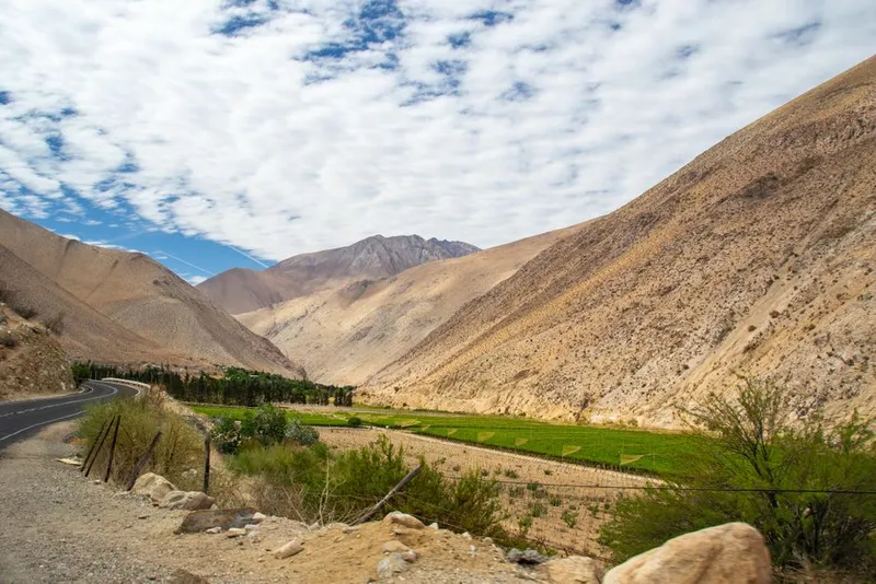 Ruta del Pajarete y Pisco en Alto del Carmen